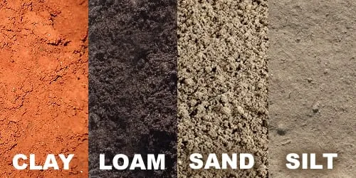 Soil Classification Image